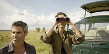 Where to see which safari animals